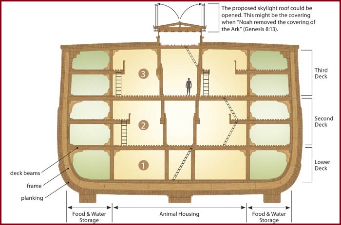 ark-layout.jpg