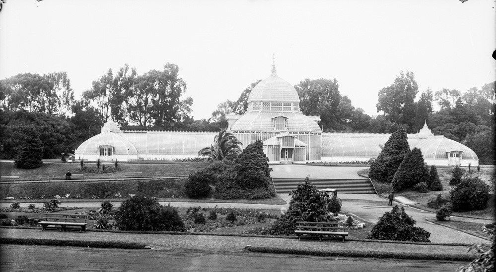 Conservatory of Flowers 18792.jpg