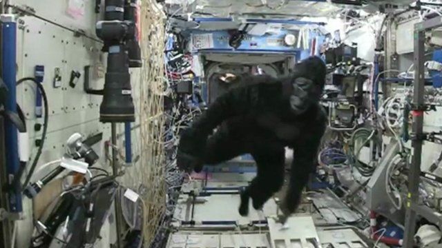 iss_gorilla_suit.jpg