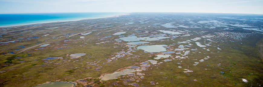 Wapusk_National_Park-2.jpg