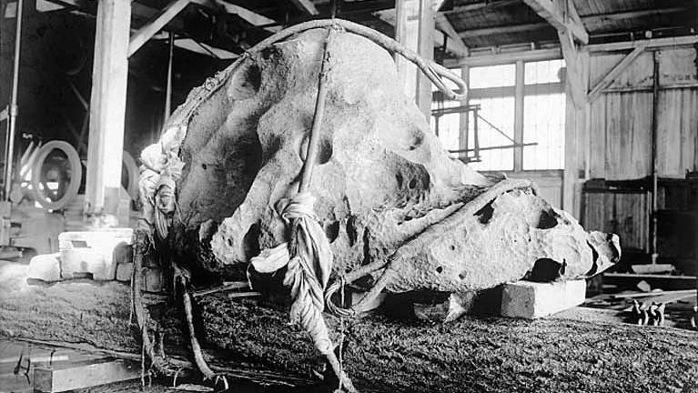 willamette-meteorite-on-display-on-a-log-platform-lewis-and-clark-exposition-portland-oregon-1...jpg