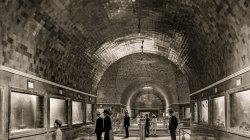 Detroit circa 1908. Interior of Aquarium, Belle Isle Park.